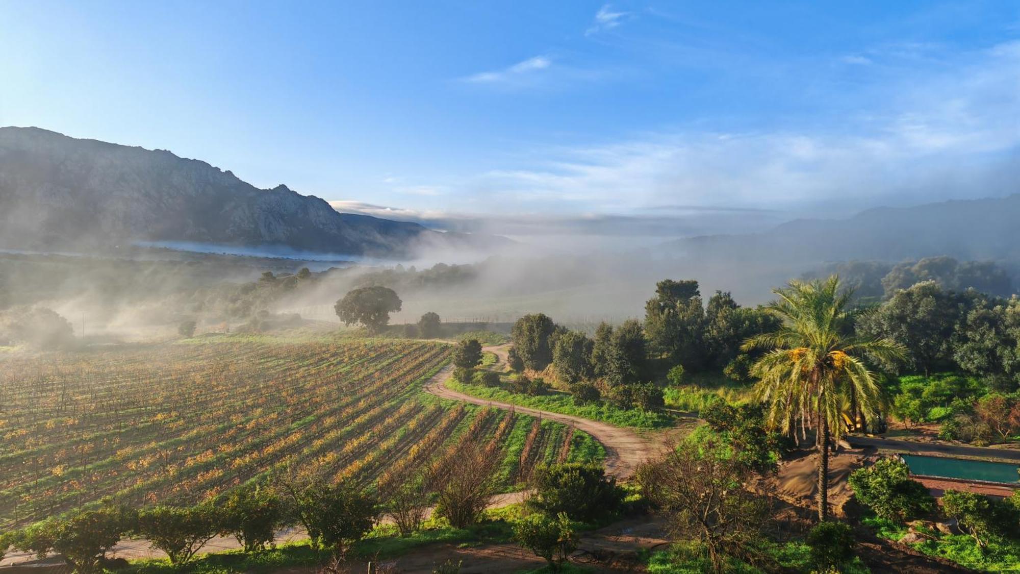 Le Hameau De Saparale Sartene  Luaran gambar