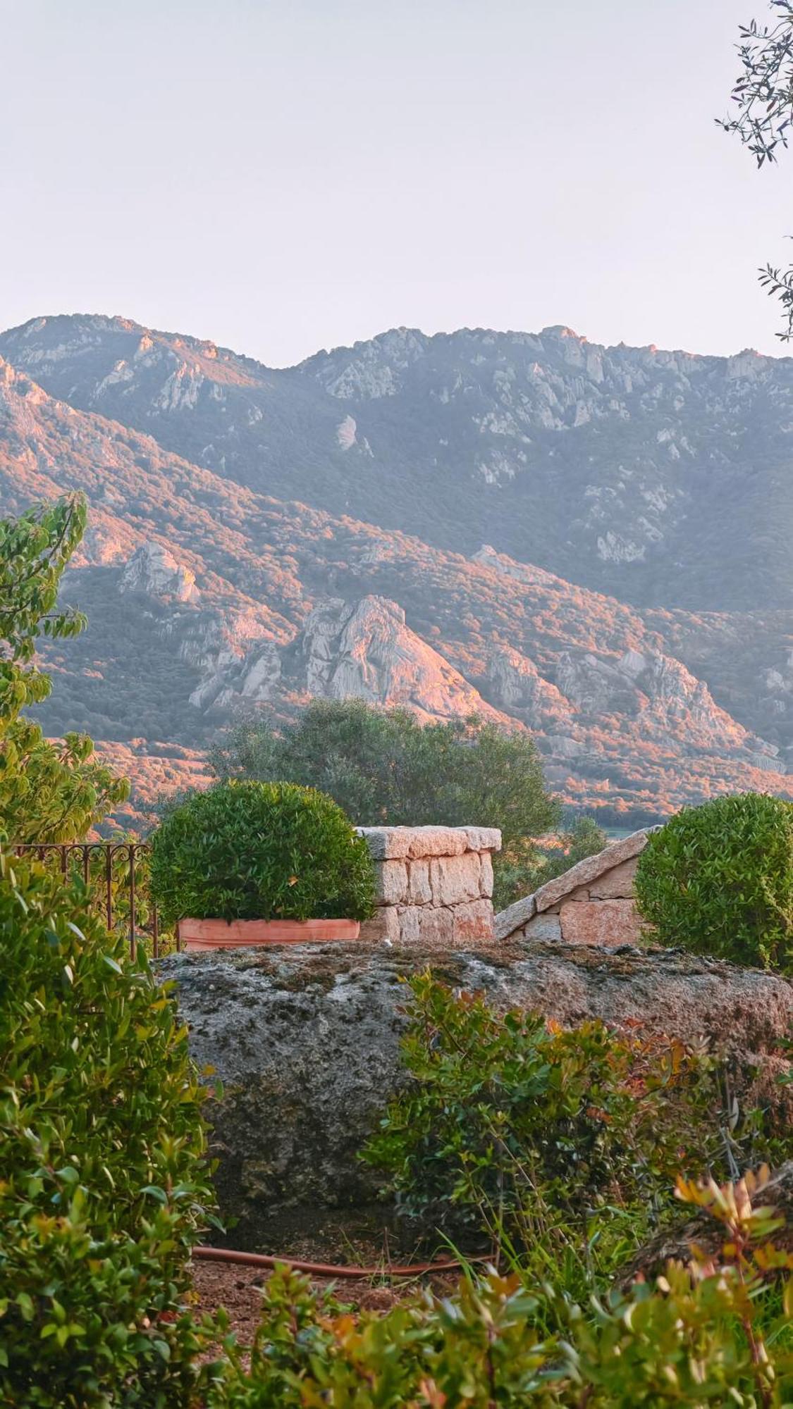 Le Hameau De Saparale Sartene  Luaran gambar